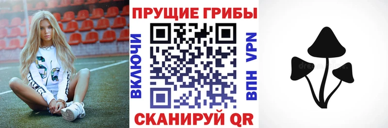 хочу наркоту  Новомичуринск  Псилоцибиновые грибы Psilocybine cubensis 
